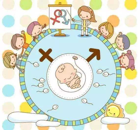 成都生殖辅助生殖机构的供卵试管新鲜胚胎和囊胚哪一种植入速度更快？