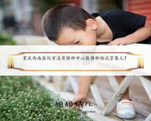 重庆西南医院有没有供卵中心能借卵做试管婴儿？